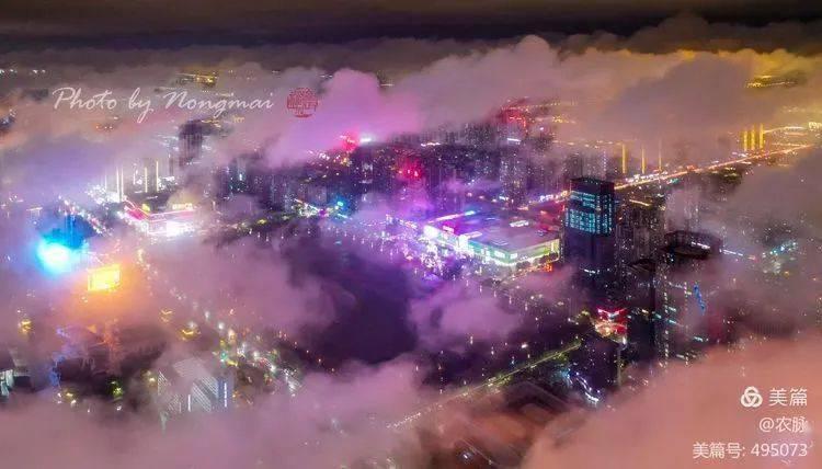 便携式EL检测仪QY-100——1600万像素