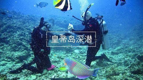党规党纪你问我答丨逢年过节单位之间能相互走访拜年吗？