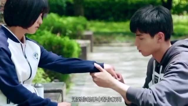 森林的奇迹
