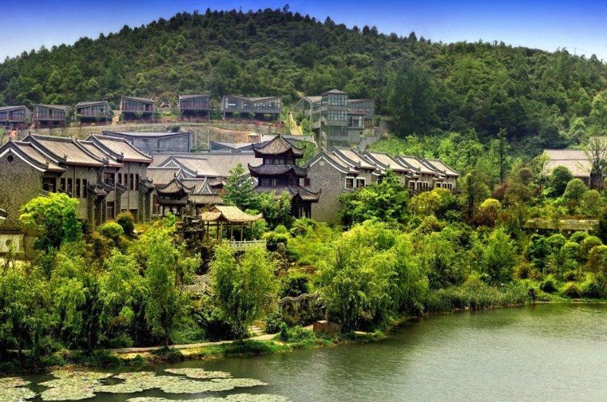 时尚小鸡救援