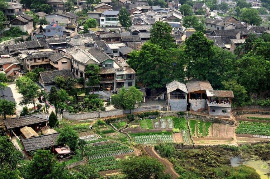 逃离棕榈树森林